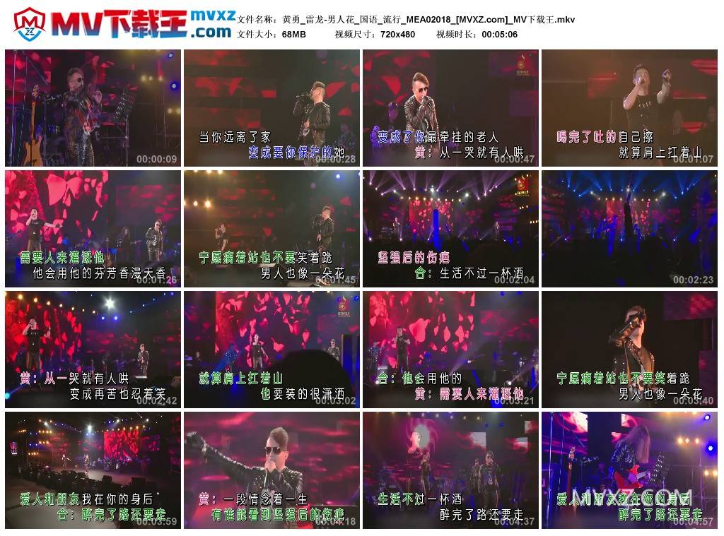 黄勇_雷龙-男人花_国语_流行_MEA02018